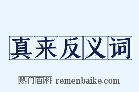 真来反义词是什么意思的图片